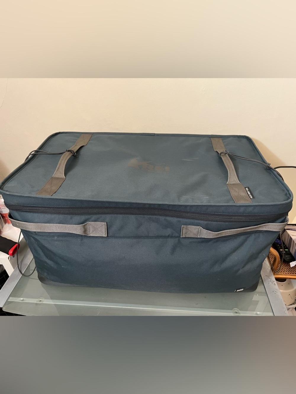 REI co op trailgate gear bin 100L storage car organization camper